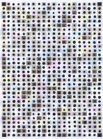 Untitled (SBD), 2013 - acryl sur papier imprimé, 10 ex.